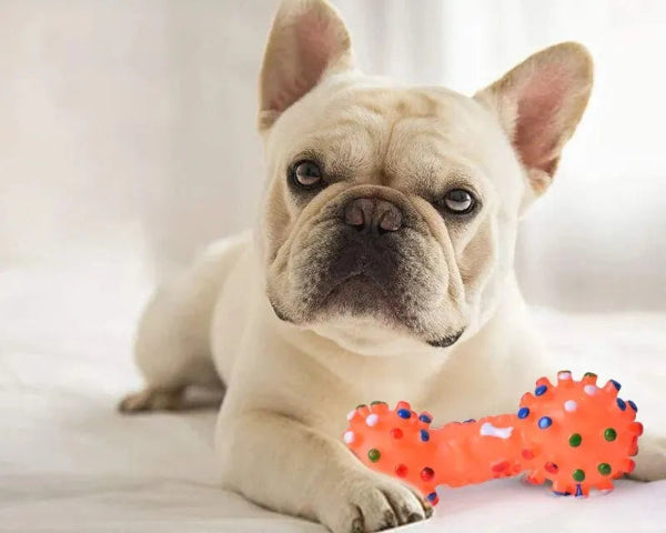 Brinquedo para pet