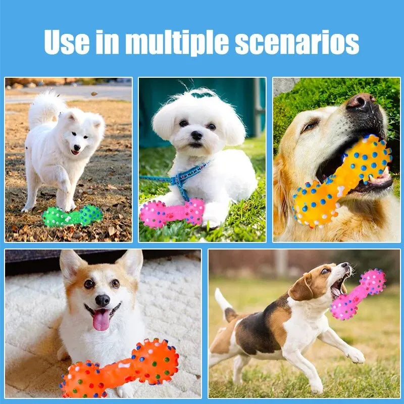 Brinquedo para pet