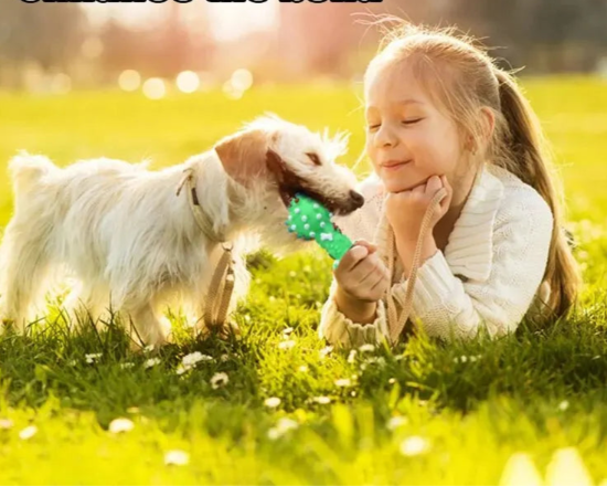 Brinquedo para pet
